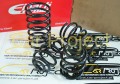 Sprężyny obniżające Eibach Pro Kit - Renault Megane 4 R.S. IV RS 1
